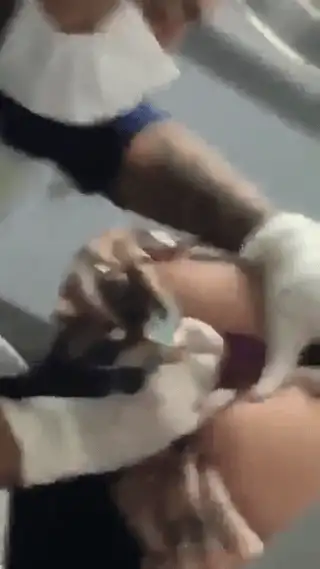 201904co0y58h5p111a003.gif