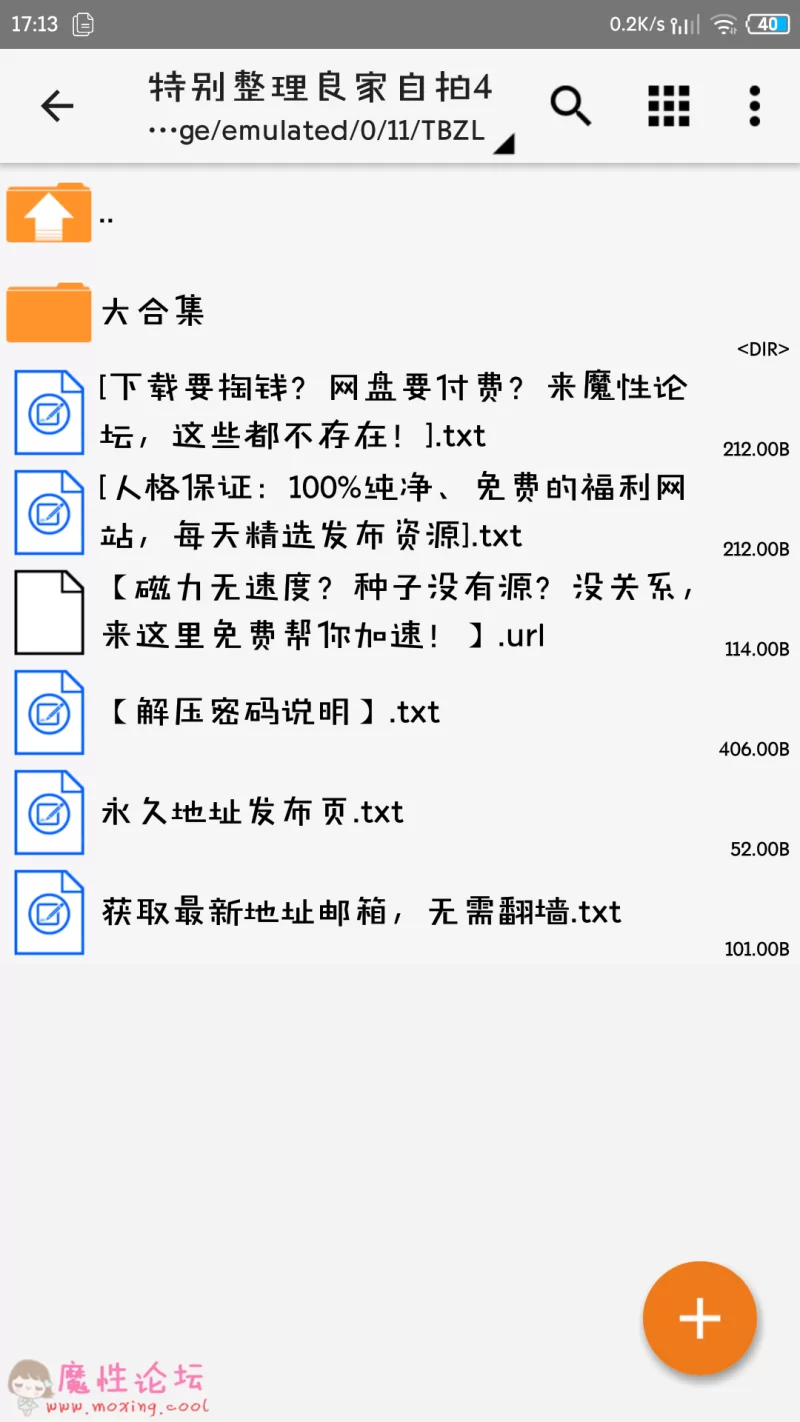 Screenshot_2019-04-21-17-13-38-494_ru.zdevs.zarchiver.pro.png